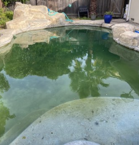 Green pool in Lincoln Village before EZ Pools service
