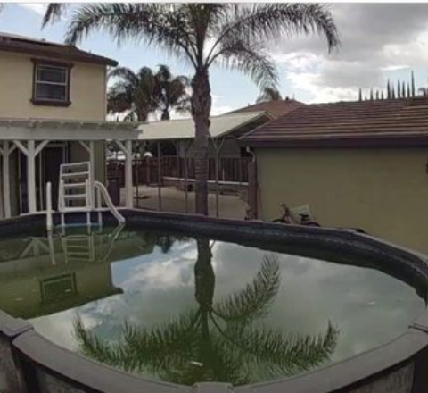 Green pool in Manteca before EZ Pools service